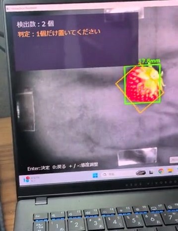 AI画像検査システムでいちご1個のサイズや状態を確認している画面